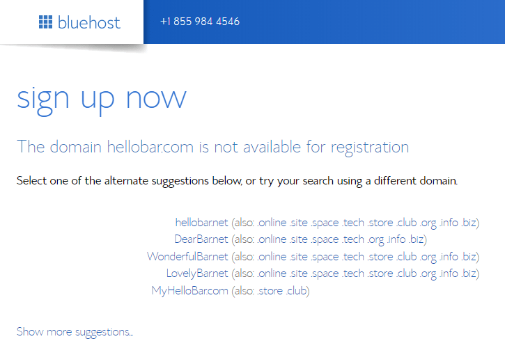What is a Website Domain Name?